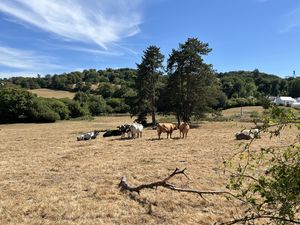 Chagford